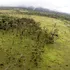 Sunetele pădurii: Cercetătorii pot măsura biodiversitatea cu ajutorul ecoacusticii