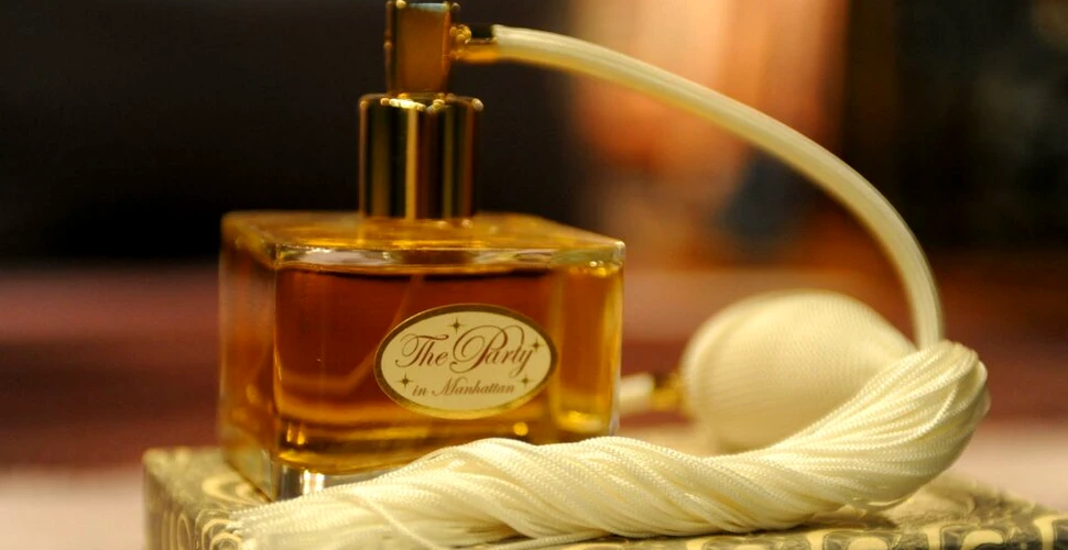 Oamenii din întreaga lume preferă aceleași mirosuri. Care este parfumul preferat?