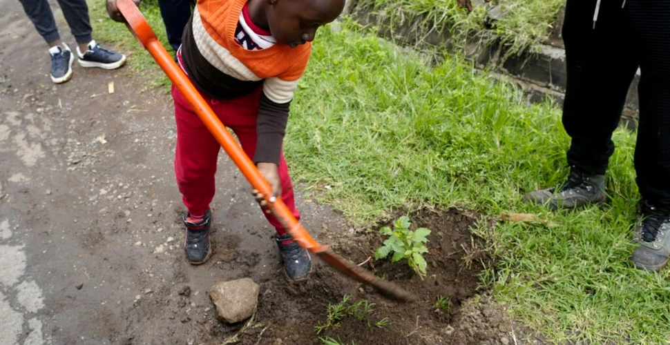 „Vacanță specială” în Kenya: Guvernul îndeamnă oamenii să planteze copaci