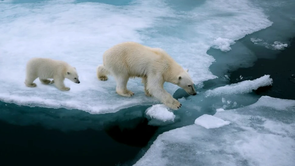 De la ce vin denumirile de Arctica și Antarctica? Răspunsul vă va amuza!