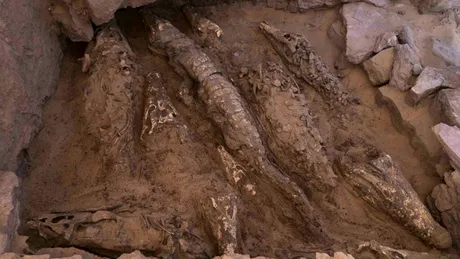 Mumii de crocodil de dimensiuni impresionante, găsite într-un mormânt egiptean