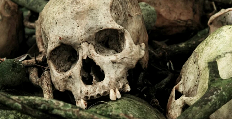 Cuie înfipte în craniile oamenilor, ritualul șocant din Epoca Fierului