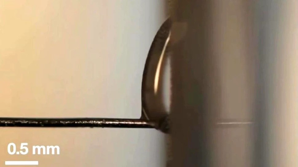 Poate apa să curgă în sus? Un experiment recent sfidează legile gravitaţiei (VIDEO)