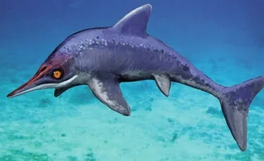 Un „monstru marin” misterios îi uimeşte pe cercetători