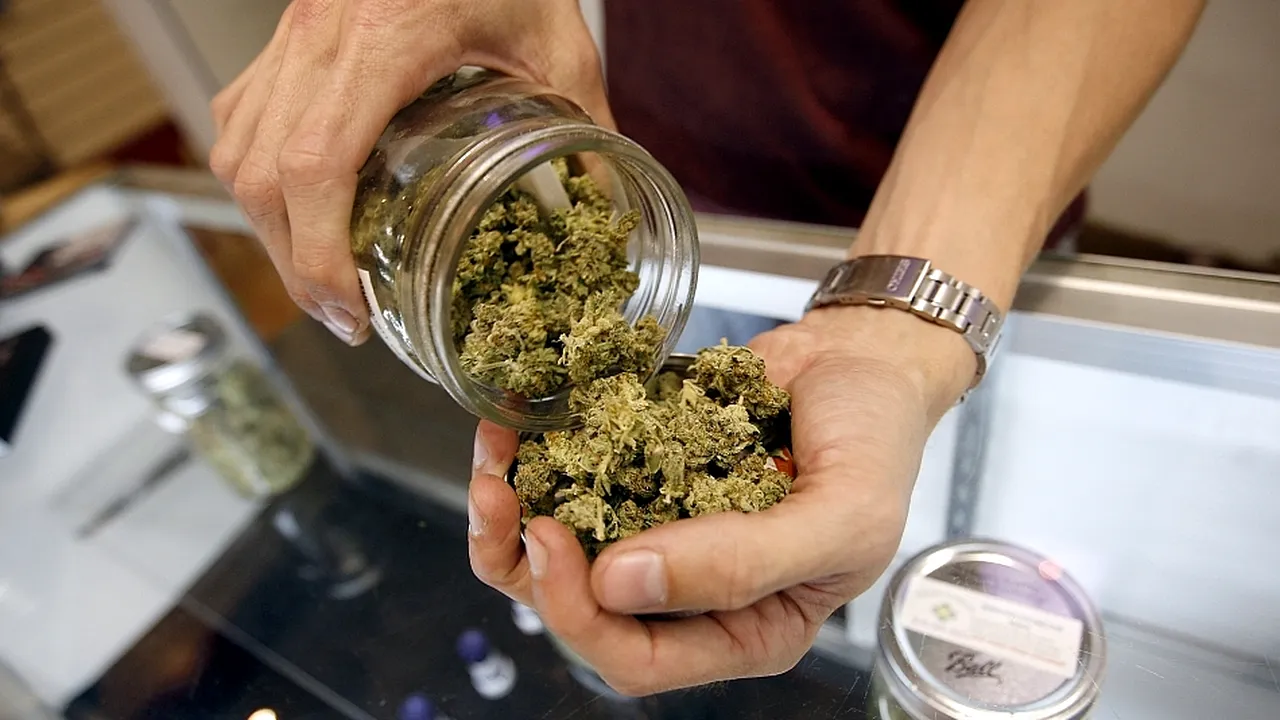 1-marijuana-medicinala 