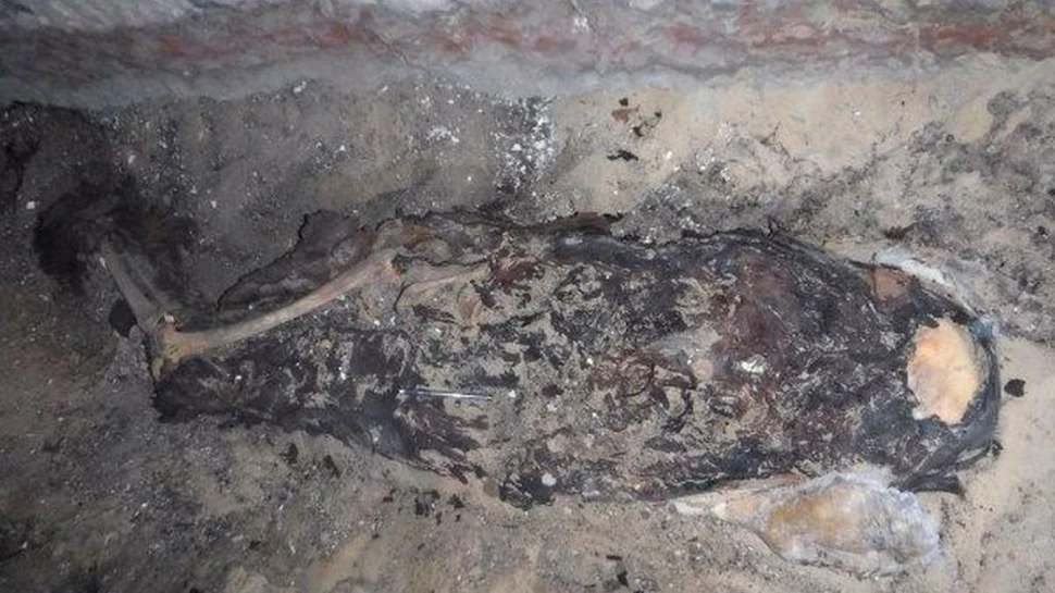 Cel mai vechi tratament ginecologic, descoperit după analizarea unei mumii egiptene