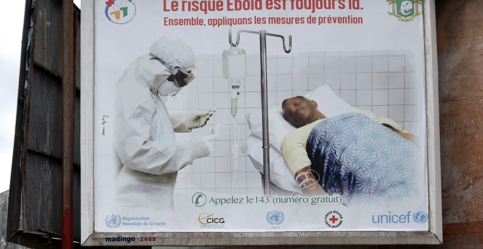 Un expert al OMS a fost contaminat în Sierra Leone cu Ebola. Virusul a ajuns şi în R.D.Congo