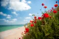 Vremea o ia razna, anunță meteorologii! Unde va ninge de 1 Mai?
