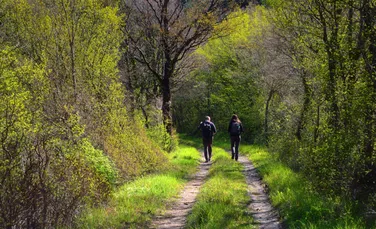 De ce ne simțim mai bine în natură: efectele asupra corpului și minții