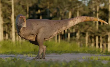 A fost descoperit un dinozaur cu brațe chiar mai mici decât ale lui T-Rex