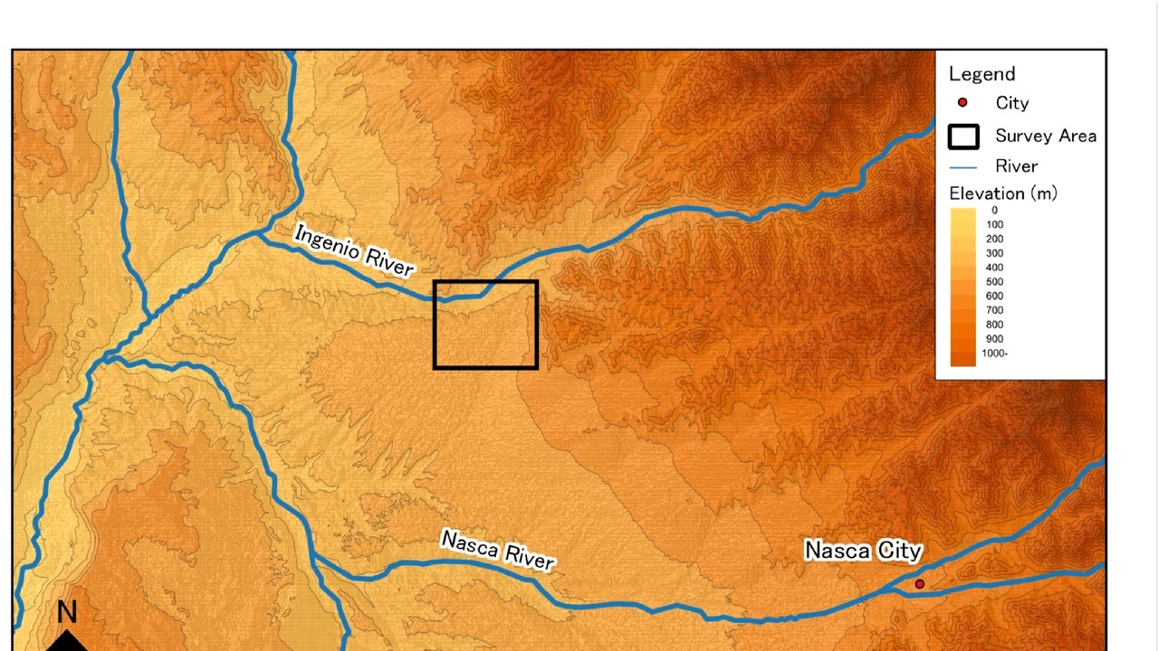Hovawart