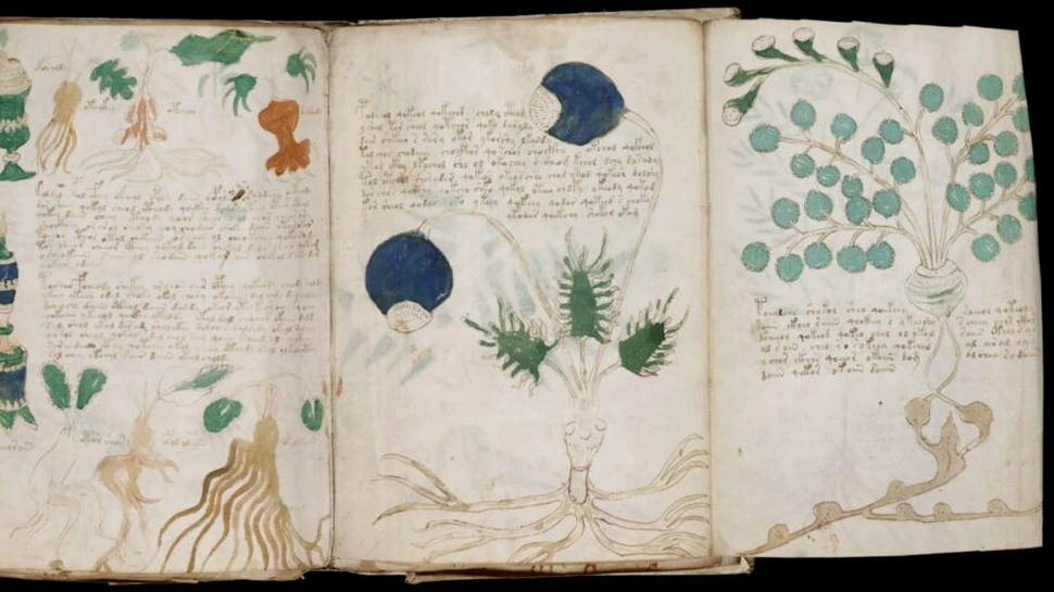 Manuscrisul Voynich: limbă pierdută sau cifru genial?