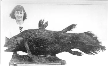 În 1938, o femeie a „înviat” o specie despre care se credea că a dispărut acum 66 de milioane de ani