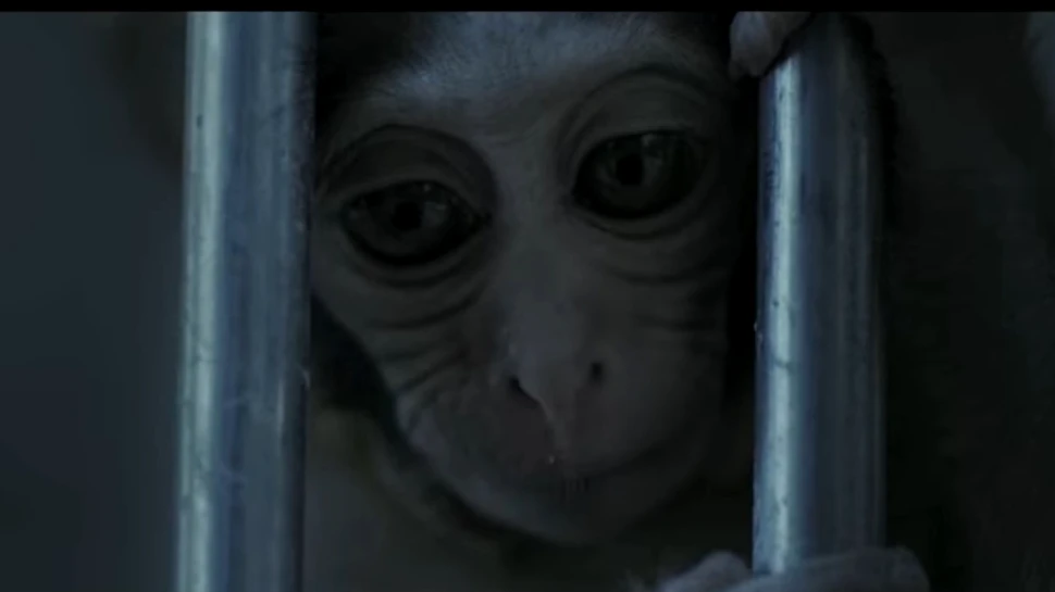 Care sunt filmele româneşti care vor fi prezente Festivalul Internaţional de Film de la Karlovy Vary