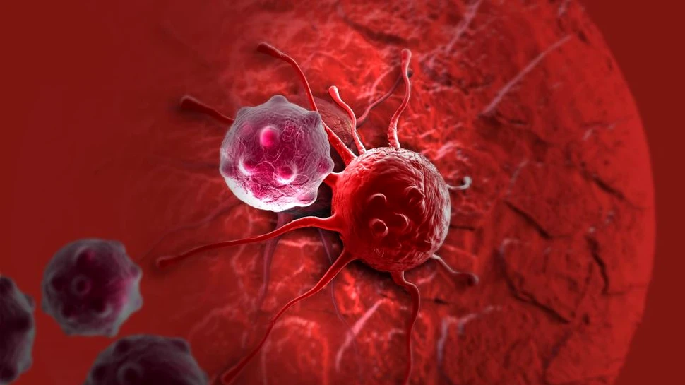 Descoperire cu implicaţii extrem de importante în cunoaşterea unui mecanism al apariţiei cancerului. Rolul crucial al bacteriilor