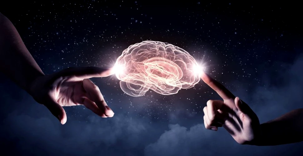 Unii cercetători iau în calcul posibilitatea ca ”mini-creierele” să fie conştiente