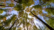Avertisment: Ce s-ar întâmpla dacă Marea Britanie ar renunța la angajamentele climatice?