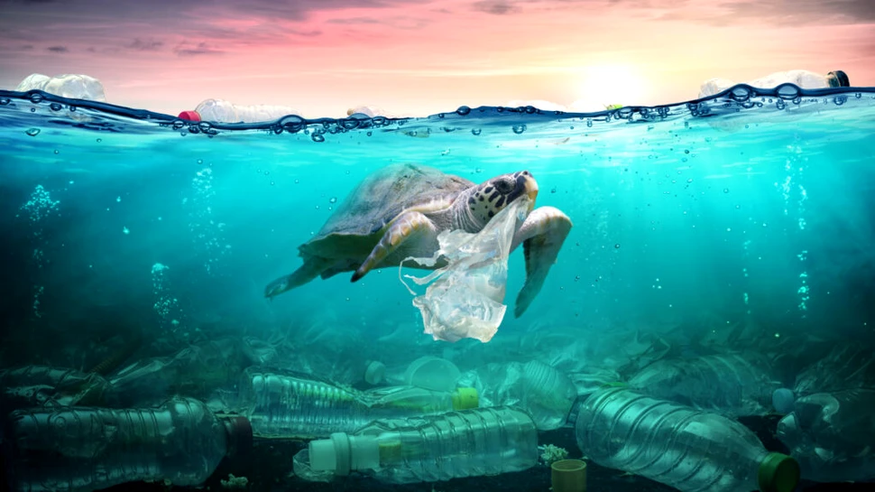 Gunoaiele de pe fundul oceanelor ar putea fi colectate în viitor de roboți