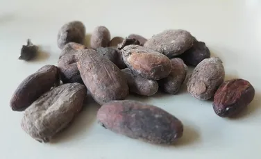 Cât de mult cadmiu conțin boabele de cacao?