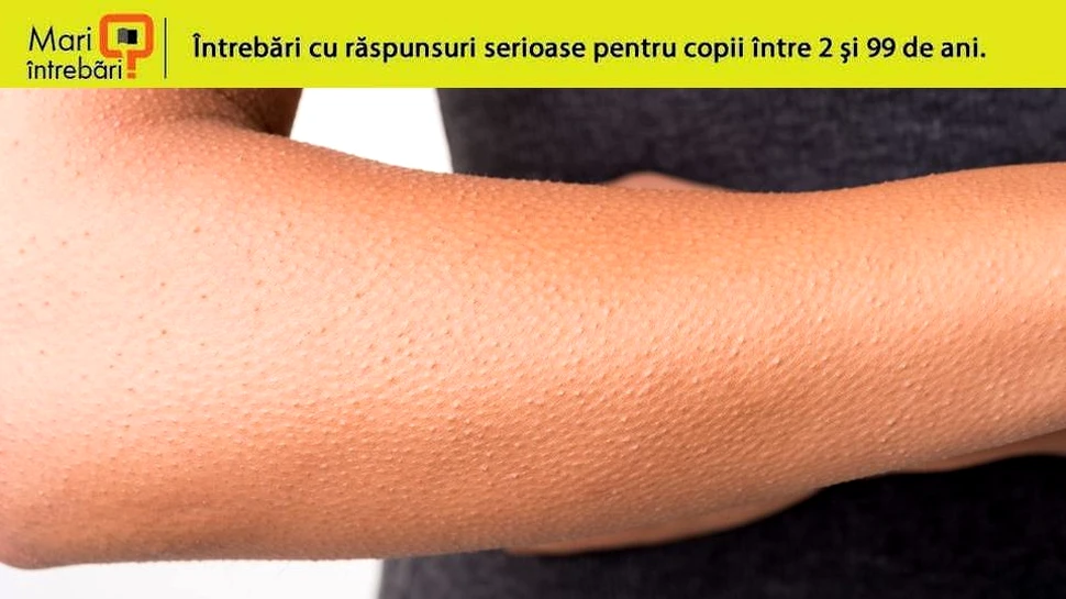 De ce simţim fiori atunci când ascultăm o anumită melodie?