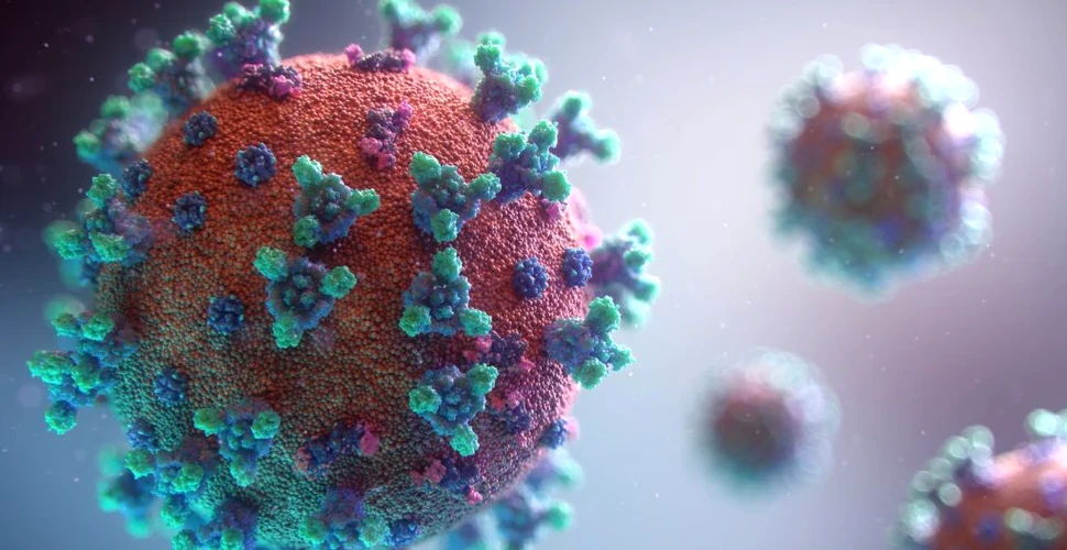 Tulpina sud-africană a virusului SARS-CoV-2 a fost descoperită și în România