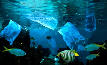 Fundul oceanelor este „un rezervor” de plastic, arată un studiu în premieră