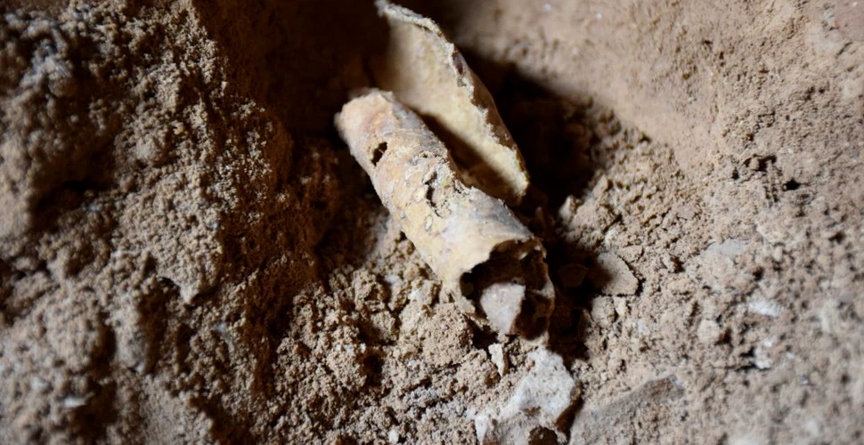 O nouă analiză a descoperit un al doilea autor misterios al unuia dintre Manuscrisele de la Marea Moartă