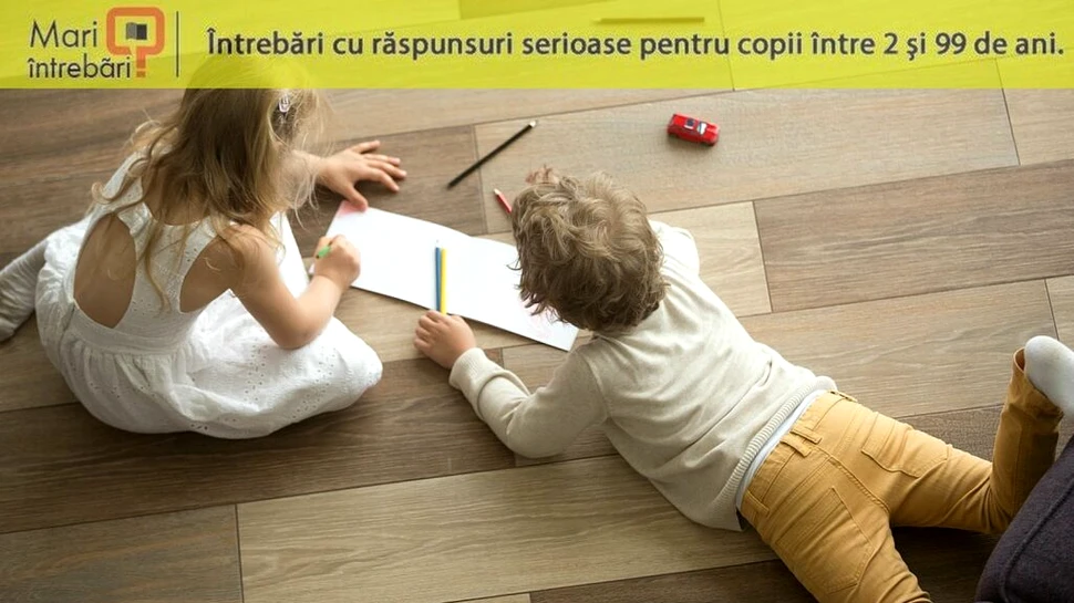 Câte gene au în comun frații?