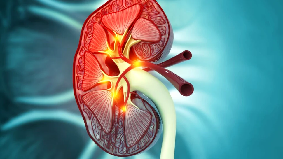 Un bărbat de 66 de ani trăiește cu un rinichi de porc modificat genetic. Este al doilea pacient din lume!