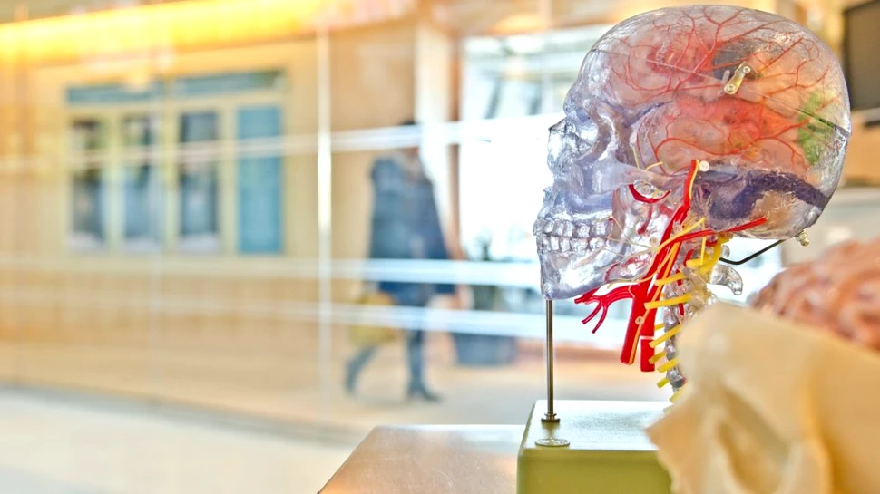 Indicii noi privind o posibilă legătură între Alzheimer și diabet