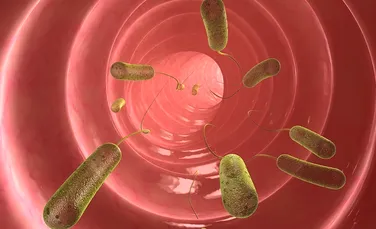 Super-bacteria pe care n-o ucide niciun antibiotic