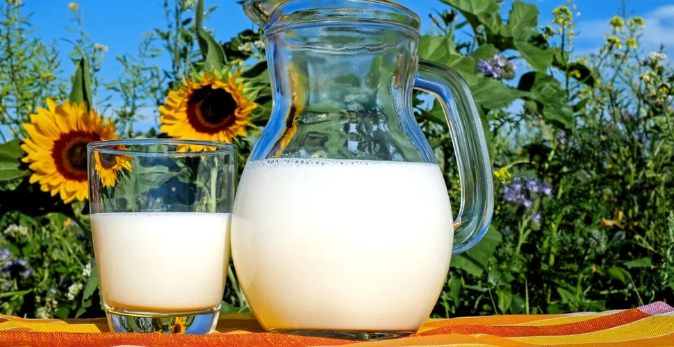 Cum să alegi laptele din comerţ. Sfaturi de la doi experţi români