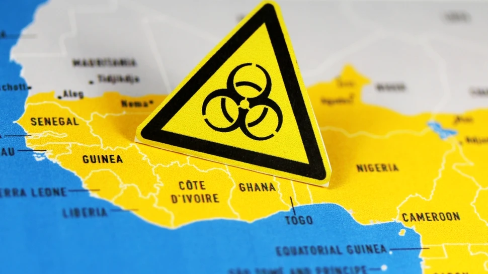 Haite de câini devorează cadavrele victimelor epidemiei de Ebola în Liberia