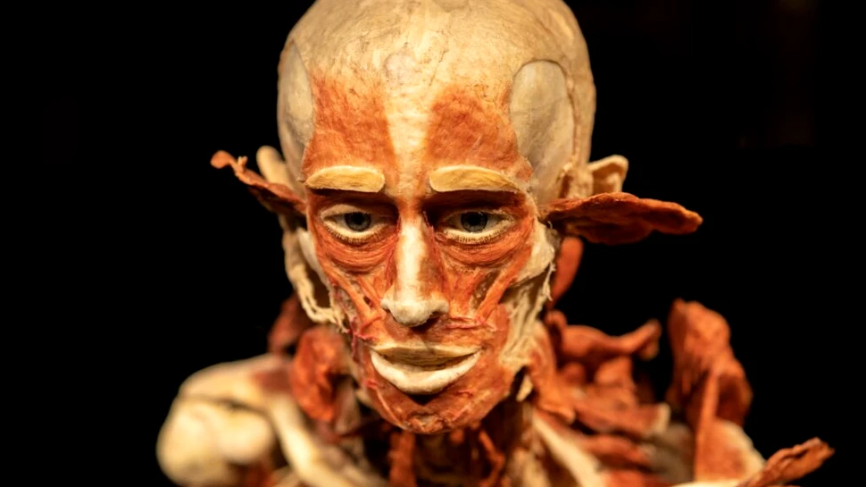 Cât ai putea pierde din corp și, totuși, să supraviețuiești?