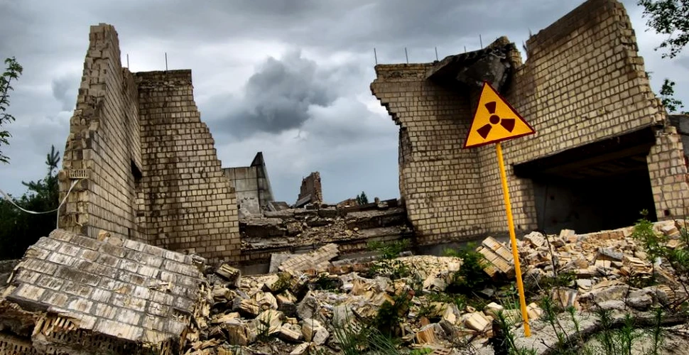 Cum poţi supravieţui dezastrelor. 5 factori cheie de care ar trebui să ţii cont