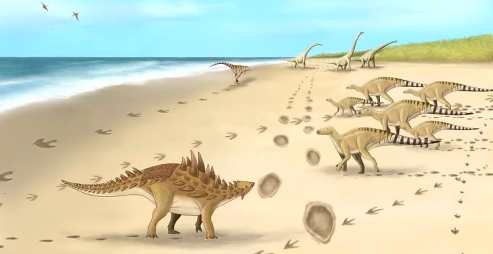 Urme de pași ale ultimilor dinozauri care au pășit pe teritoriul Marii Britanii, descoperite de cercetători