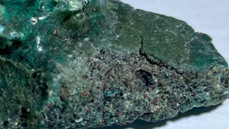 Descoperire tristă pe o insulă din Brazilia: Țestoasele marine își fac cuiburi în „roci de plastic”