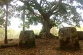Arheologii au descoperit borcane uriașe de piatră în India