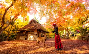 Record de turiști în Japonia! Cât au cheltuit cei 3,31 milioane de vizitatori?