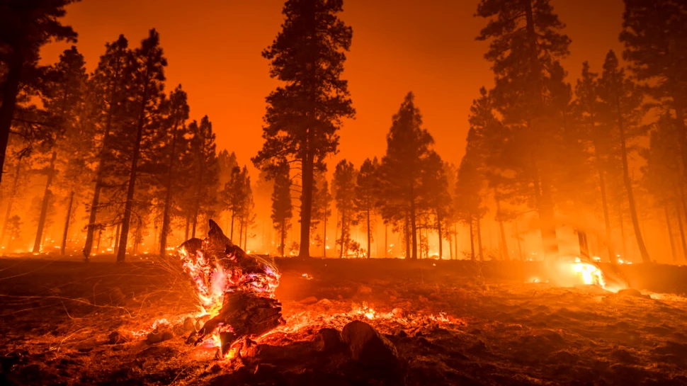 Oamenii de știință au descoperit cele mai vechi incendii de pădure înregistrate vreodată