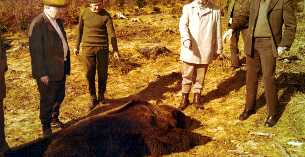 Ziua în care Ceaușescu a împușcat cei mai mari urși
