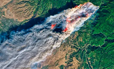 Chiar și după ce sunt stinse, incendiile de vegetație lasă în urmă un fenomen devastator