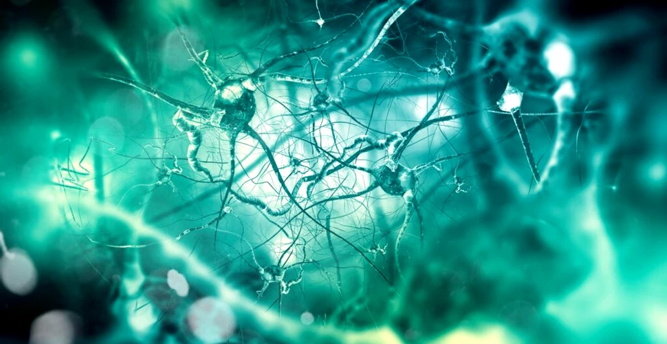 „O nouă eră în știința creierului”. Cercetătorii de la Institutul Salk au dezvăluit atlasul creierului uman