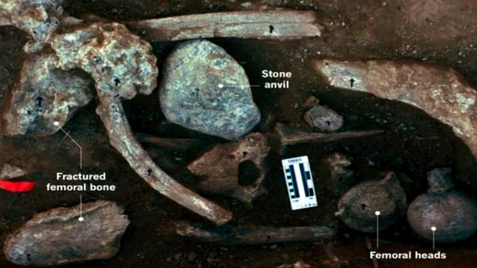 Noi dovezi susțin controversata idee că oamenii au ajuns în America în urmă cu 130.000 de ani