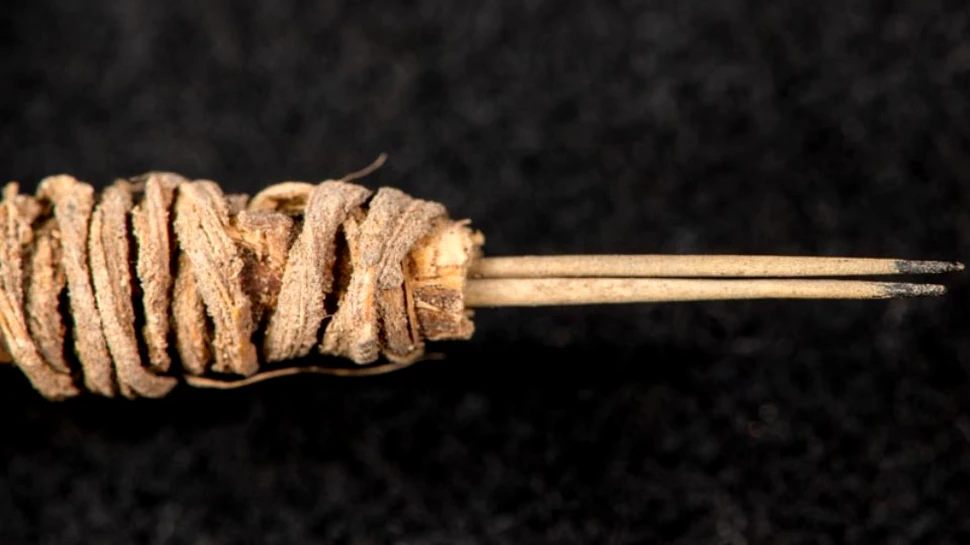 Un instrument de făcut tatuaje, vechi de 2.000 de ani, descoperit în America de Nord