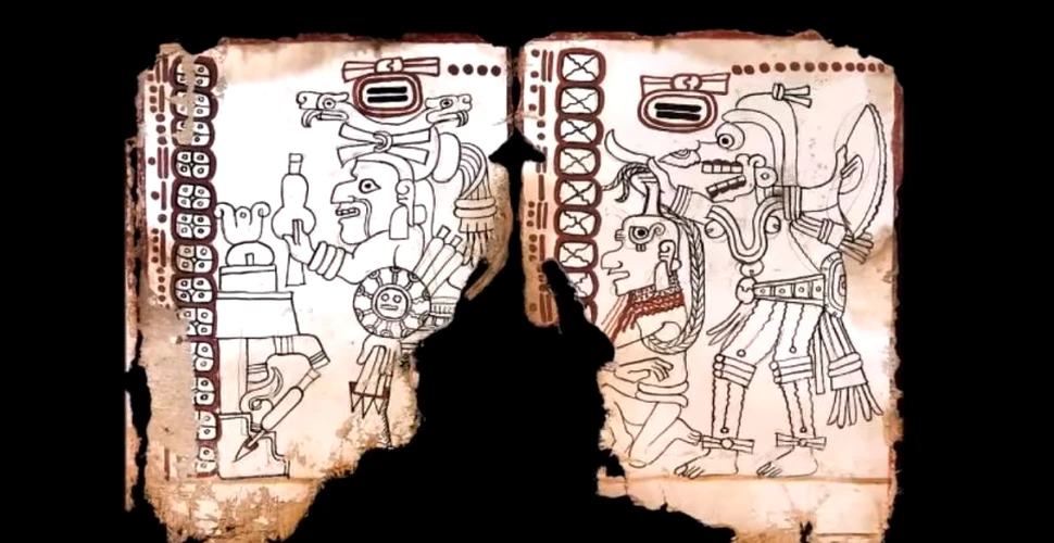Acesta este cel mai vechi text mayaş. În document au fost analizate mişcările planetei Venus