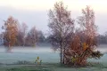 Vine frigul în România! Cum va fi vremea în următoarele săptămâni?