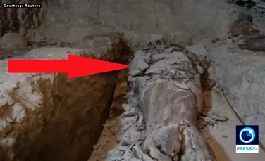 Conţinutul sarcofagului misterios din Alexandria a fost analizat. Descoperirea arheologilor privind identitatea scheletelor