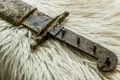 Descoperirea din secolul al XI-lea care îi entuziasmează pe arheologi. Ce au scos la lumină în Polonia?