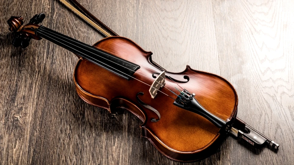 Viori Stradivarius din brazii doborâţi de furtuni